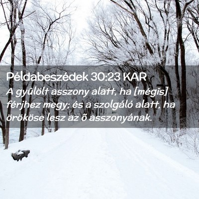 Picture 02 - Példabeszédek 30:23 KAR - A gyûlölt asszony alatt, ha [mégis] férjhez - Bible Verse Picture