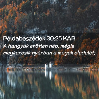 Picture 02 - Példabeszédek 30:25 KAR - A hangyák erõtlen nép, mégis megkeresik - Bible Verse Picture