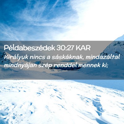 Picture 02 - Példabeszédek 30:27 KAR - Királyuk nincs a sáskáknak, mindazáltal - Bible Verse Picture