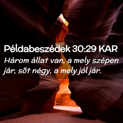 Picture 02 - Példabeszédek 30:29 KAR - Három állat van, a mely szépen jár, sõt - Bible Verse Picture