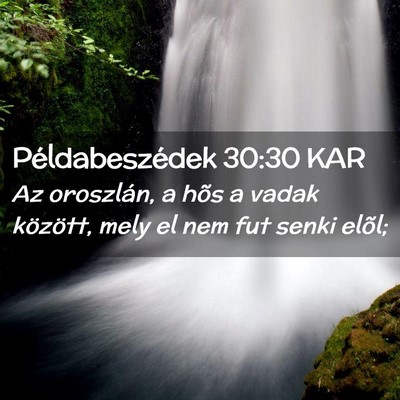 Picture 02 - Példabeszédek 30:30 KAR - Az oroszlán, a hõs a vadak között, mely el - Bible Verse Picture