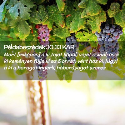 Picture 02 - Példabeszédek 30:33 KAR - Mert [miképen] a ki tejet köpül, vajat - Bible Verse Picture