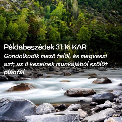 Picture 02 - Példabeszédek 31:16 KAR - Gondolkodik mezõ felõl, és megveszi azt; az õ - Bible Verse Picture