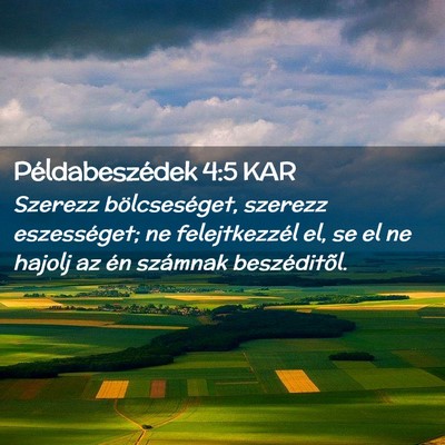 Picture 02 - Példabeszédek 4:5 KAR - Szerezz bölcseséget, szerezz eszességet; ne - Bible Verse Picture