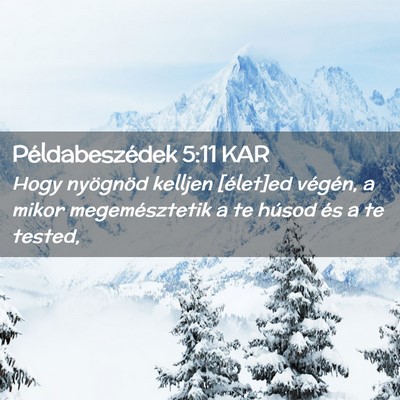 Picture 02 - Példabeszédek 5:11 KAR - Hogy nyögnöd kelljen [élet]ed végén, a mikor - Bible Verse Picture