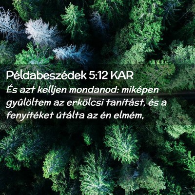 Picture 02 - Példabeszédek 5:12 KAR - És azt kelljen mondanod: miképen gyûlöltem az - Bible Verse Picture