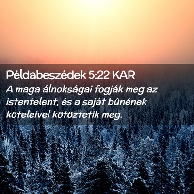 Picture 02 - Példabeszédek 5:22 KAR - A maga álnokságai fogják meg az istentelent, - Bible Verse Picture