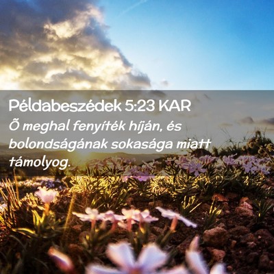 Picture 02 - Példabeszédek 5:23 KAR - Õ meghal fenyíték híján, és bolondságának - Bible Verse Picture