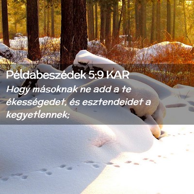 Picture 02 - Példabeszédek 5:9 KAR - Hogy másoknak ne add a te ékességedet, és - Bible Verse Picture