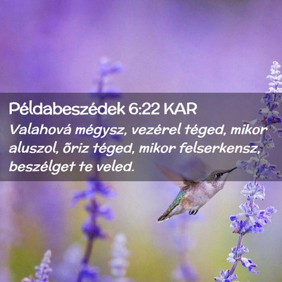Picture 02 - Példabeszédek 6:22 KAR - Valahová mégysz, vezérel téged, mikor - Bible Verse Picture