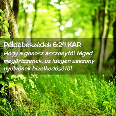 Picture 02 - Példabeszédek 6:24 KAR - Hogy a gonosz asszonytól téged megõrizzenek, - Bible Verse Picture