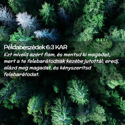 Picture 02 - Példabeszédek 6:3 KAR - Ezt míveld azért fiam, és mentsd ki magadat, - Bible Verse Picture