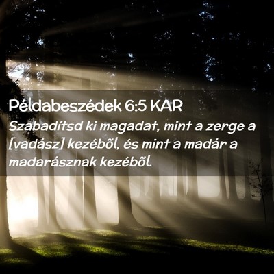 Picture 02 - Példabeszédek 6:5 KAR - Szabadítsd ki magadat, mint a zerge a [vadász] - Bible Verse Picture