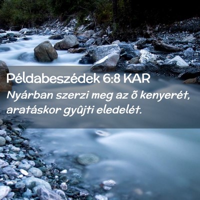 Picture 02 - Példabeszédek 6:8 KAR - Nyárban szerzi meg az õ kenyerét, aratáskor - Bible Verse Picture