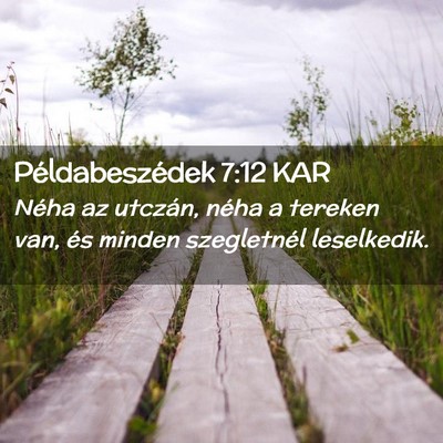 Picture 02 - Példabeszédek 7:12 KAR - Néha az utczán, néha a tereken van, és minden - Bible Verse Picture