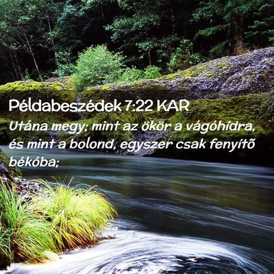 Picture 02 - Példabeszédek 7:22 KAR - Utána megy; mint az ökör a vágóhídra, és - Bible Verse Picture