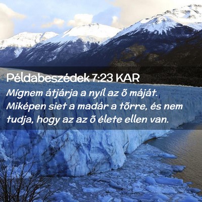 Picture 02 - Példabeszédek 7:23 KAR - Mígnem átjárja a nyíl az õ máját. Miképen - Bible Verse Picture