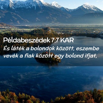 Picture 02 - Példabeszédek 7:7 KAR - És láték a bolondok között, eszembe vevék a - Bible Verse Picture