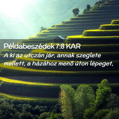 Picture 02 - Példabeszédek 7:8 KAR - A ki az utczán jár, annak szeglete mellett, a - Bible Verse Picture