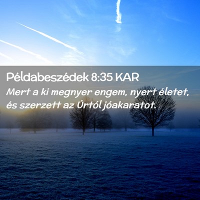 Picture 02 - Példabeszédek 8:35 KAR - Mert a ki megnyer engem, nyert életet, és - Bible Verse Picture