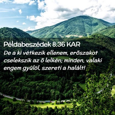 Picture 02 - Példabeszédek 8:36 KAR - De a ki vétkezik ellenem, erõszakot cselekszik - Bible Verse Picture