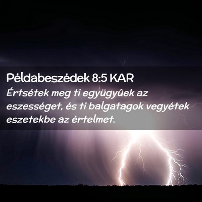 Picture 02 - Példabeszédek 8:5 KAR - Értsétek meg ti együgyûek az eszességet, és - Bible Verse Picture
