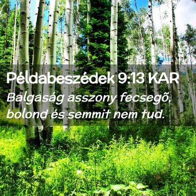 Picture 02 - Példabeszédek 9:13 KAR - Balgaság asszony fecsegõ, bolond és semmit nem - Bible Verse Picture