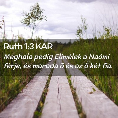 Picture 02 - Ruth 1:3 KAR - Meghala pedig Elimélek a Naómi férje, és - Bible Verse Picture