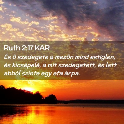 Picture 02 - Ruth 2:17 KAR - És õ szedegete a mezõn mind estiglen, és - Bible Verse Picture