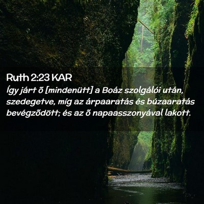Picture 02 - Ruth 2:23 KAR - Így járt õ [mindenütt] a Boáz szolgálói - Bible Verse Picture
