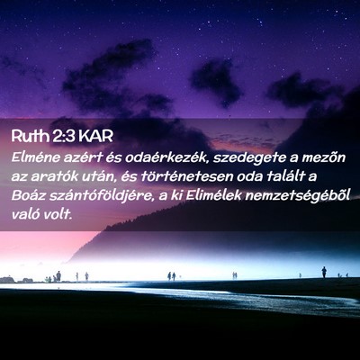 Picture 02 - Ruth 2:3 KAR - Elméne azért és odaérkezék, szedegete a - Bible Verse Picture