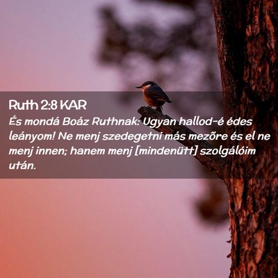 Picture 02 - Ruth 2:8 KAR - És mondá Boáz Ruthnak: Ugyan hallod-é édes - Bible Verse Picture