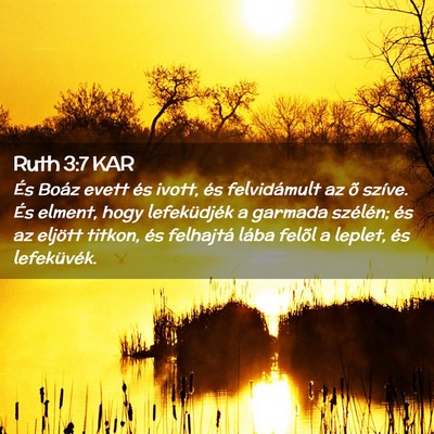 Picture 02 - Ruth 3:7 KAR - És Boáz evett és ivott, és felvidámult az õ - Bible Verse Picture