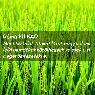 Picture 02 - Róma 1:11 KAR - Mert kívánlak titeket látni, hogy valami lelki - Bible Verse Picture
