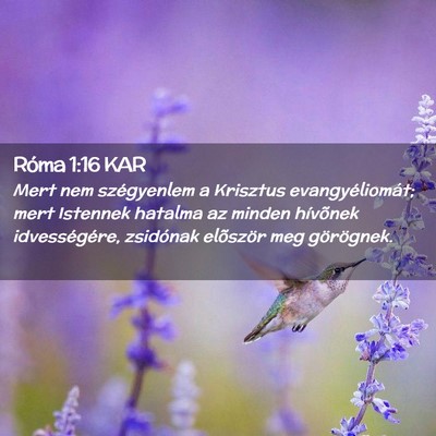Picture 02 - Róma 1:16 KAR - Mert nem szégyenlem a Krisztus evangyéliomát; - Bible Verse Picture