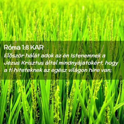 Picture 02 - Róma 1:8 KAR - Elõször hálát adok az én Istenemnek a Jézus - Bible Verse Picture