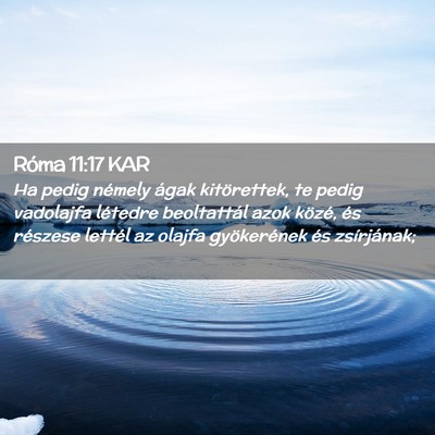 Picture 02 - Róma 11:17 KAR - Ha pedig némely ágak kitörettek, te pedig - Bible Verse Picture