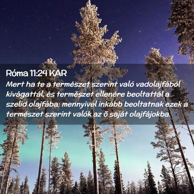 Picture 02 - Róma 11:24 KAR - Mert ha te a természet szerint való - Bible Verse Picture