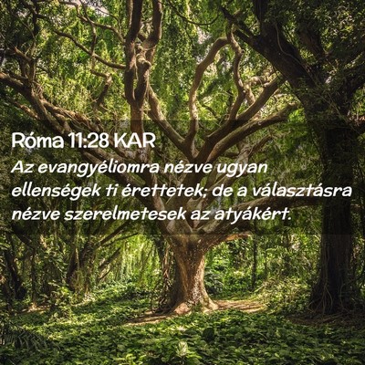 Picture 02 - Róma 11:28 KAR - Az evangyéliomra nézve ugyan ellenségek ti - Bible Verse Picture