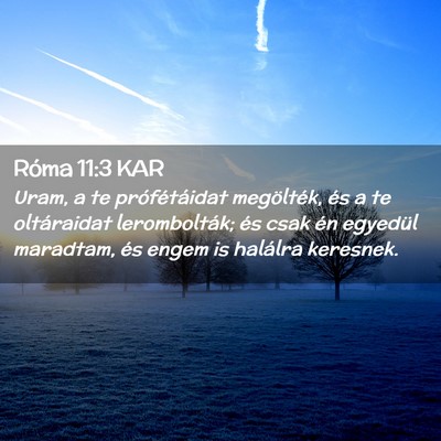 Picture 02 - Róma 11:3 KAR - Uram, a te prófétáidat megölték, és a te - Bible Verse Picture