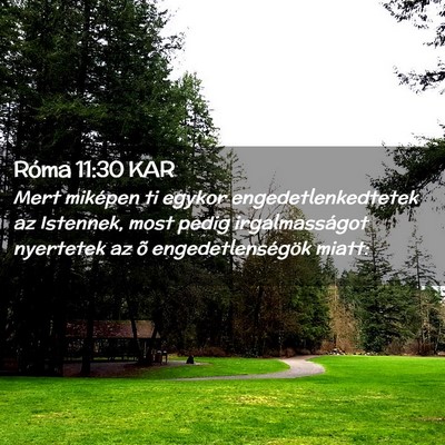 Picture 02 - Róma 11:30 KAR - Mert miképen ti egykor engedetlenkedtetek az - Bible Verse Picture