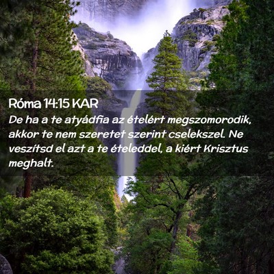 Picture 02 - Róma 14:15 KAR - De ha a te atyádfia az ételért megszomorodik, - Bible Verse Picture