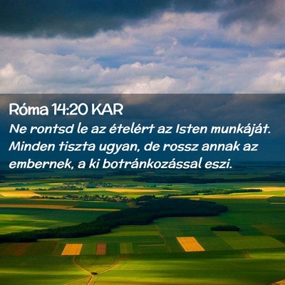 Picture 02 - Róma 14:20 KAR - Ne rontsd le az ételért az Isten munkáját. - Bible Verse Picture