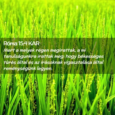 Picture 02 - Róma 15:4 KAR - Mert a melyek régen megirattak, a mi - Bible Verse Picture