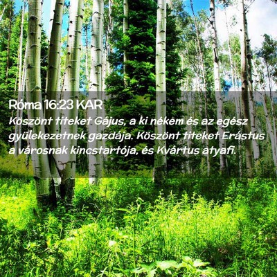 Picture 02 - Róma 16:23 KAR - Köszönt titeket Gájus, a ki nékem és az - Bible Verse Picture