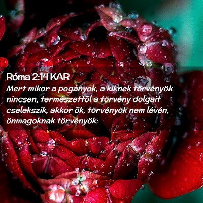 Picture 02 - Róma 2:14 KAR - Mert mikor a pogányok, a kiknek törvényök - Bible Verse Picture