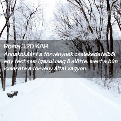 Picture 02 - Róma 3:20 KAR - Annakokáért a törvénynek cselekedeteibõl egy - Bible Verse Picture