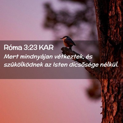 Picture 02 - Róma 3:23 KAR - Mert mindnyájan vétkeztek, és szûkölködnek - Bible Verse Picture