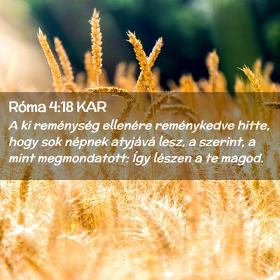 Picture 02 - Róma 4:18 KAR - A ki reménység ellenére reménykedve hitte, - Bible Verse Picture