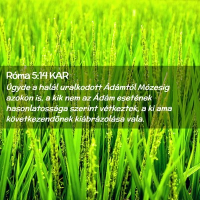Picture 02 - Róma 5:14 KAR - Úgyde a halál uralkodott Ádámtól Mózesig - Bible Verse Picture